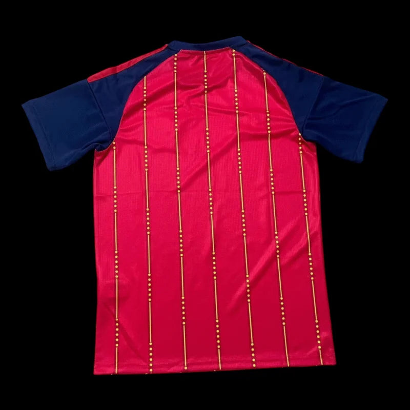 Espagne Maillot Domicile 26/27